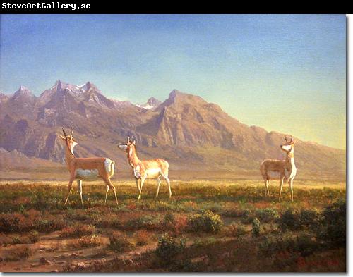 Albert Bierstadt Prong-Horned Antelope